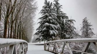 снег_мост_дерево_погода_зима