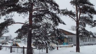 Сосновец Беломорского района