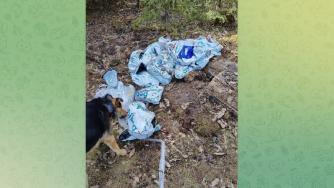 свалка отходов