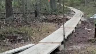 Тропа здоровья