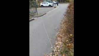 натянутый трос