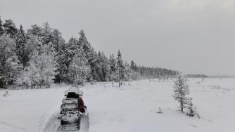 снегоход на природе