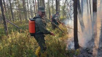 лесные пожарные тушат огонь