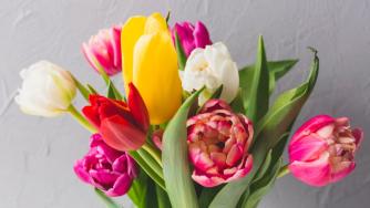 букет тюльпаны