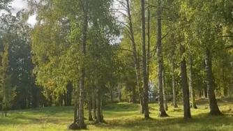 Зона отдыха