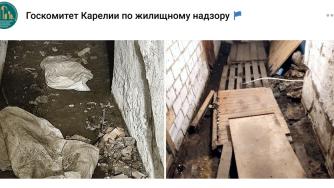 подвал дома