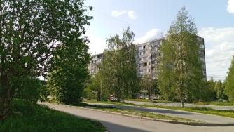 газон