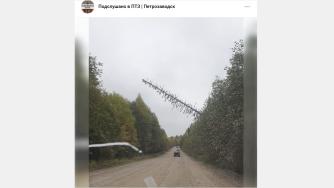 упавшее дерево