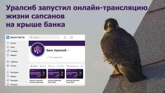 сапсаны уралсиба