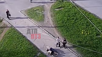 ДТП с велосипедистом