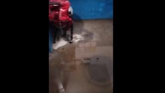 вода в подъезде