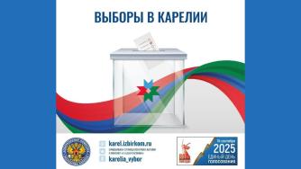 информация о днях выборов
