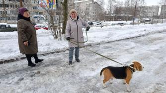 Жители микрорайона Кукковка