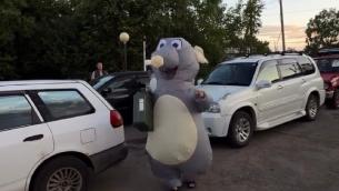 видео