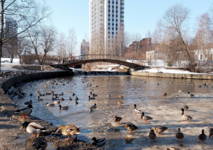 Весна в Карелии 