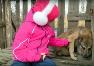 Опекуны для собак