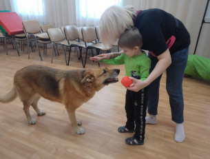 занятие по канистерапии