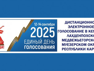 дистанционное голосование