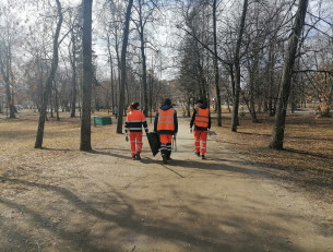 Уборка в парке