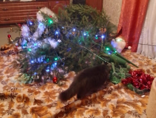 упавшая новогодняя елка