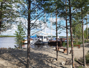 Яхта у причала за соснами