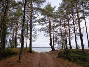 Берег озера в селе Шелтозеро