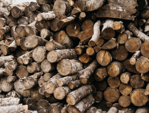 Сухие дрова