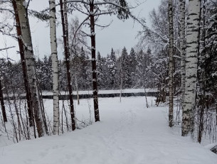 Берег реки Шуи в Салменице