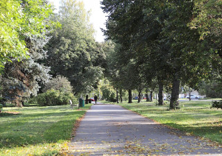 Дорожка ведет через парк.