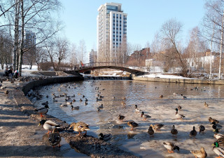 Петрозаводск весной