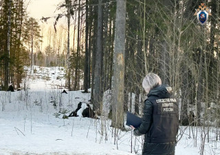 Следователь в лесу