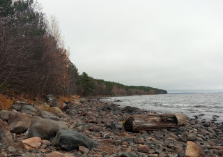 Осень в городе