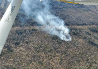 Лесной пожар