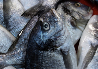 Выловленная рыба