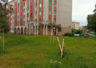 Деревья сломали у сквера Победы