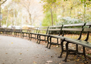 Скамейка в парке