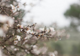 Весна на улице