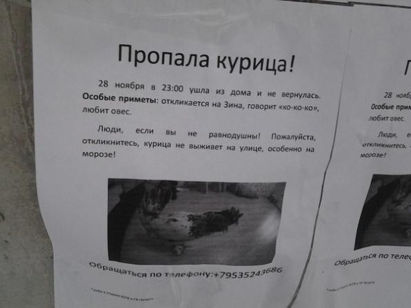 Фото Объявление О Пропаже