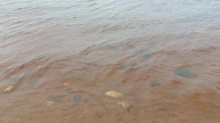 водоем