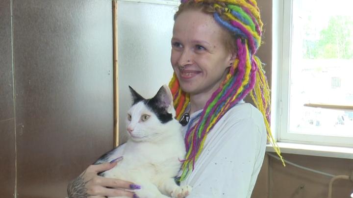 Петрозаводчанка спасает уличных котов и кошек 