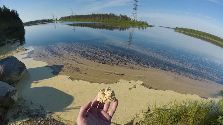 Цветущая вода в Сегеже