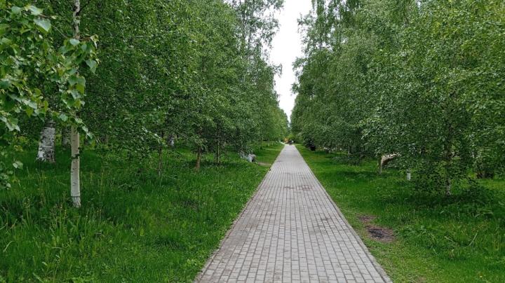 парк брусчатка