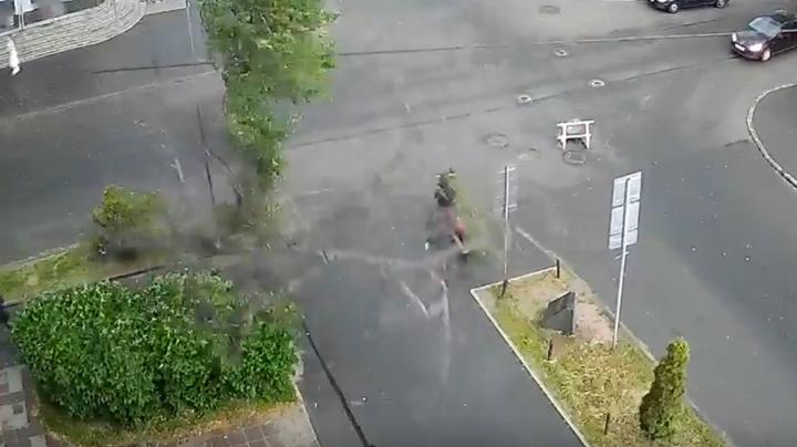 падающее дерево