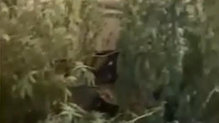 ленобласть