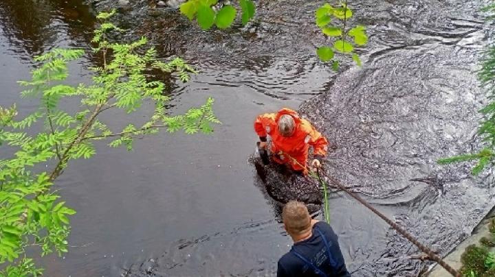 поселок_муляжиБА