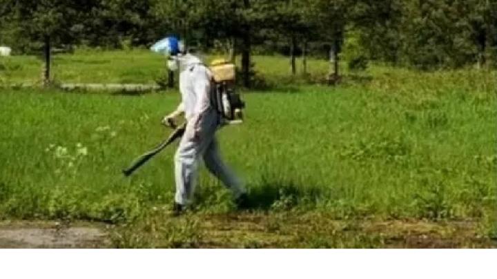 паразиты