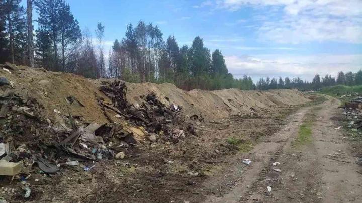 Опашка В Ледмозере