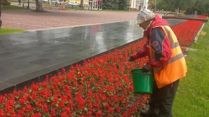 Высадка цветов