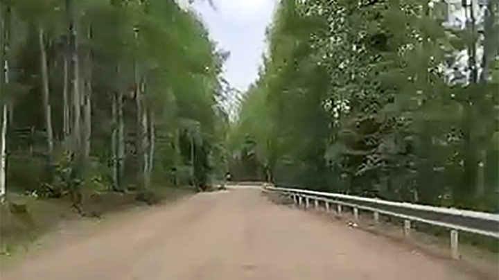 Новое ограждение на дороге