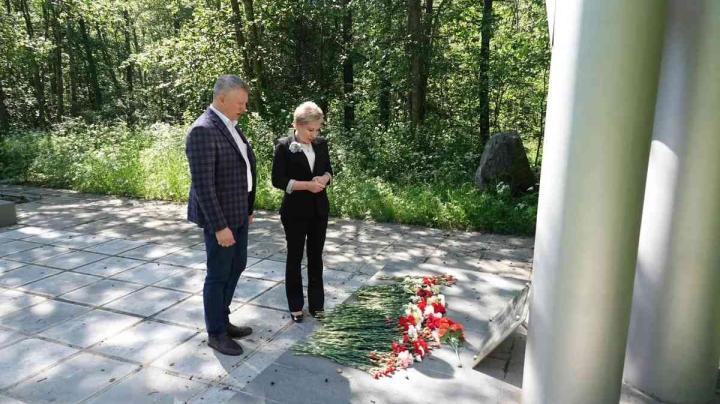 Подсадник у воинского мемориала